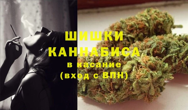прущие грибы Алексин