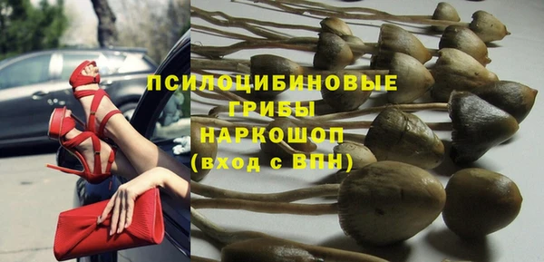 прущие грибы Алексин