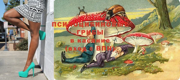 прущие грибы Алексин