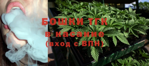 прущие грибы Алексин