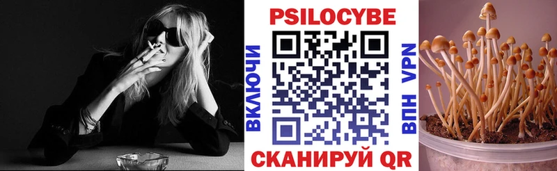 Галлюциногенные грибы Psilocybine cubensis  Шимановск 